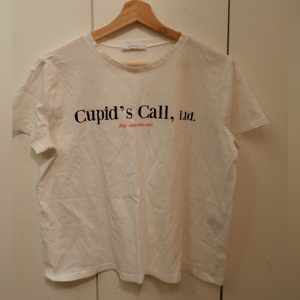 Crop T shirt by Zara!